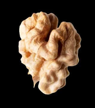The kernel of a split walnut is isolated on a black Foto stock