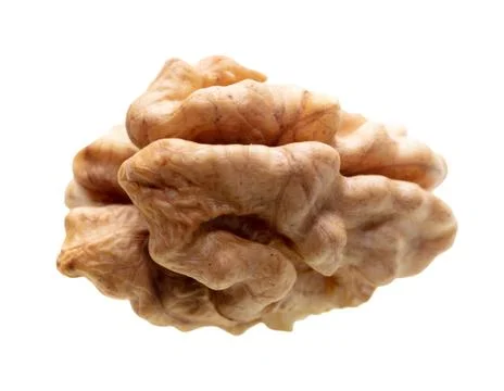 The kernel of a split walnut is isolated on a white Stockfoto's