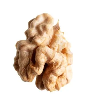 The kernel of a split walnut is isolated on a white Foto stock