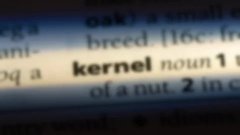 Kernel word in a dictionary. Stock Footage 99561901
