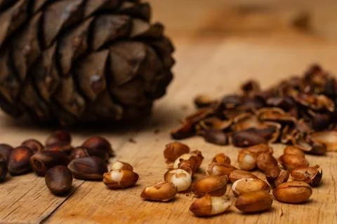 Kernels of cedar nuts, peeled from the shell of Siberian pine cones Stock Photos