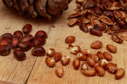 Kernels of cedar nuts, shells and cones of Siberian pine. Stock Photos