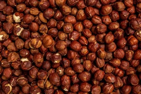 Kernels nuts hazelnut close-up, full frame Stock Photos