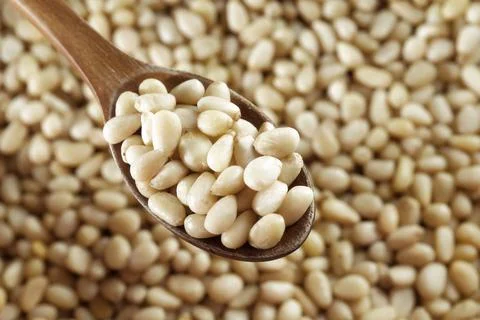 Kernels of peeled pine nuts lie in wooden spoon. Foto stock