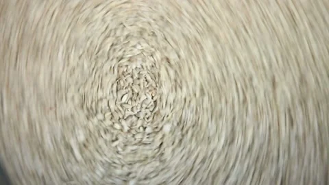 The kernels of sunflower seeds revolve in the frame. Very abstract and beautiful Stock-Footage 103614225