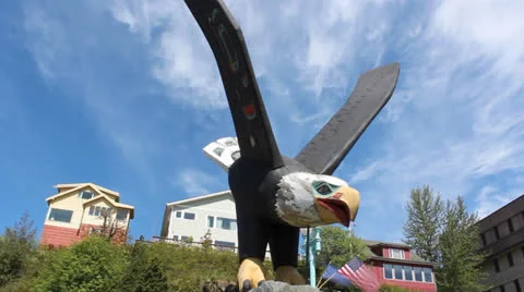Ketchikan Alaska Eagle Time Lapse 스톡 동영상 24549135