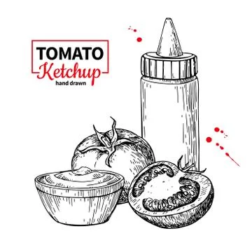 Ketchup sauce bottle with tomatoes. Vector drawing. Food flavor Stock Illustration