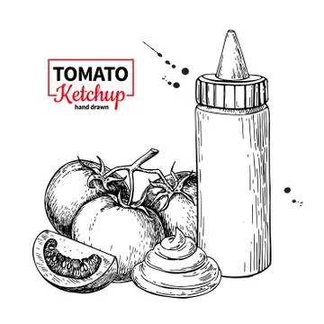 Ketchup sauce bottle with tomatoes. Vector drawing. Food flavor Stock Illustration