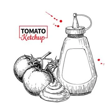 Ketchup sauce bottle with tomatoes. Vector drawing. Food flavor Stock Illustration