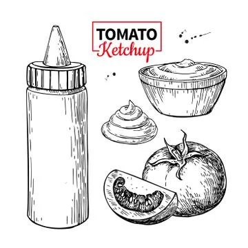 Ketchup sauce bottle with tomatoes. Vector drawing. Food flavor Stock Illustration