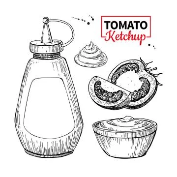 Ketchup sauce bottle with tomatoes. Vector drawing. Food flavor Stock Illustration