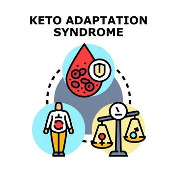 Keto adaptation syndrome process during diet change Stock Illustration