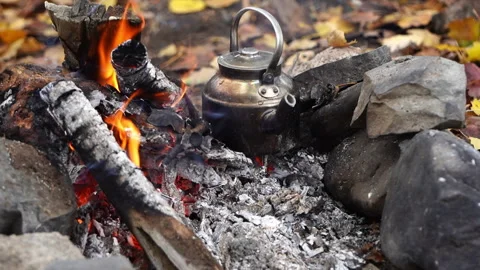 Kettle Boiling Over Campfire in Forest Video stock 318911059