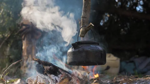 Kettle Boiling Over Campfire in Forest Wilderness Stock Footage 319733280