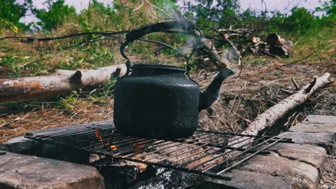 Kettle Boils on an Open Fire During the Day Stock Footage 248301648