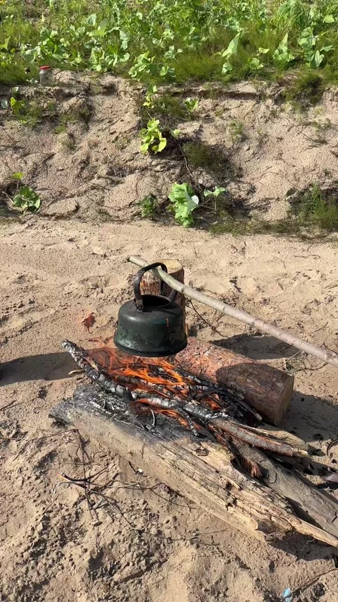 Kettle boils on an open fire during the day. Picnic in the forest. The kettle Stock Footage 315883107