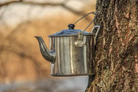 Kettle for tea camping 스톡 사진