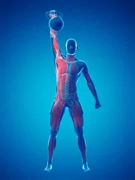 Kettlebell workout, artwork Stock Illustration