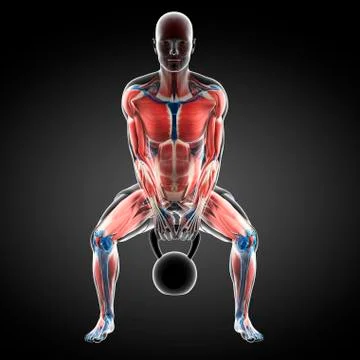 Kettlebell workout, artwork Stock Illustration