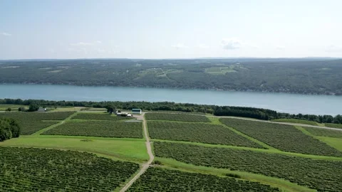 Keuka Lake, NY Stock Footage 294869682