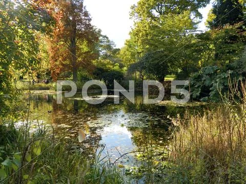 Kew in the autumn Stock Photos