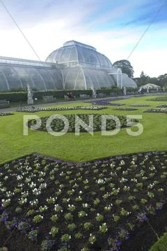 Kew Palm House Stock Photos