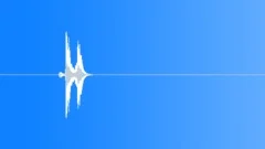 Key 2 Sound Effect