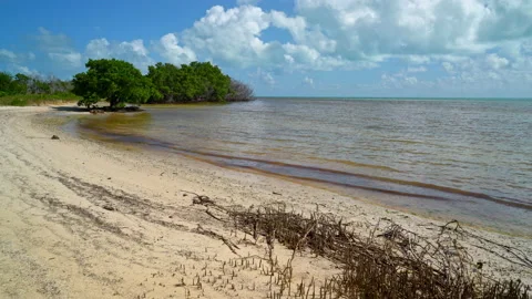  KEY BEACH Video stock 162950040