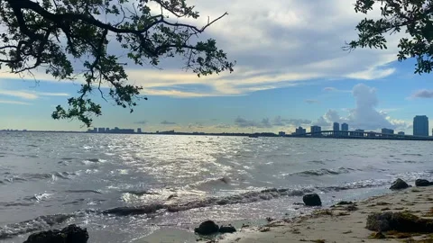 Key biscayne beach in Miami, Florida Stock Footage 230061069