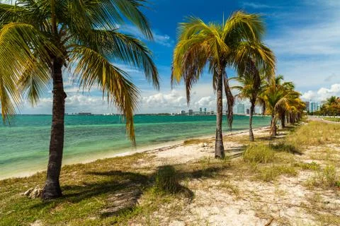 Key biscayne beach Stock Photos