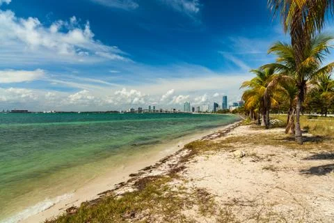 Key biscayne beach Stock Photos