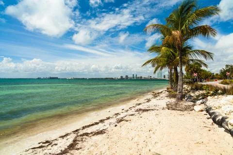 Key biscayne beach Stock Photos