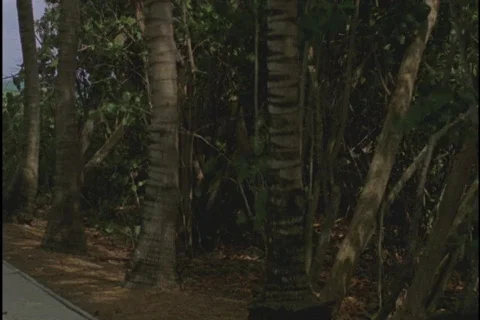 Key Biscayne Lighthouse Pan 1 Stock Footage 420671