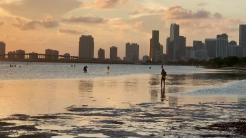 Key biscayne miami florida Stock Footage 153294201