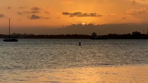 Key biscayne in miami sunset Stock Footage 153294194