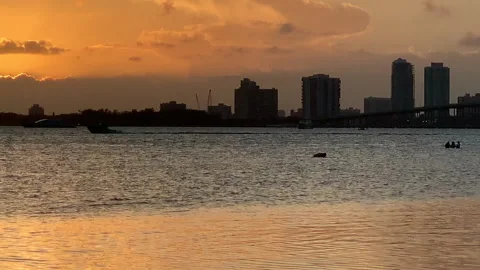Key biscayne in miami sunset Stock Footage 153294228