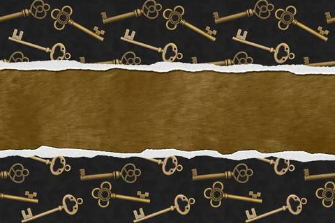 Key border skeleton key gold and black Illustrazione stock