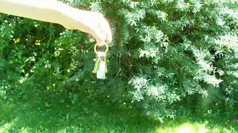 Key Stock Footage 458342