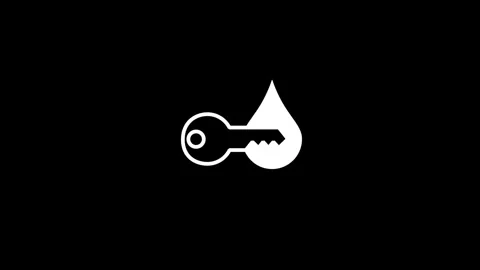 Key Stock Footage 294119530