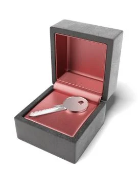 Key in gift box 库存插图