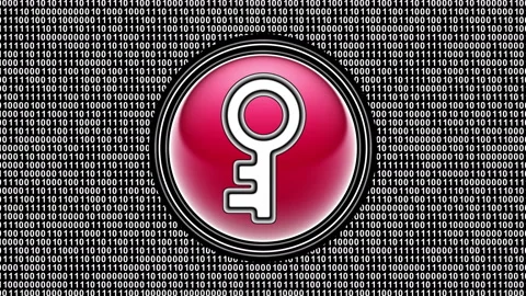 Key icon. Binary code ( array of bits ) in the screen. Looping footage. Stock Footage 123900710