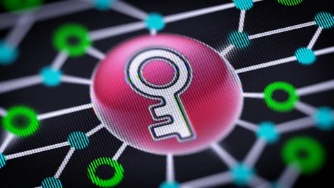 The key icon. Circuit board in the screen. Looping footage with codec Prores 444 Stock Footage 109149879