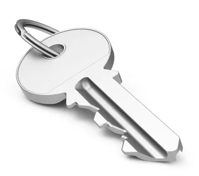 The key Stock Illustration