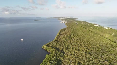 Key Largo 10 Video stock 277897591