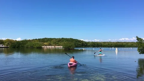 Key Largo State Park Florida Keys Video stock 74476249