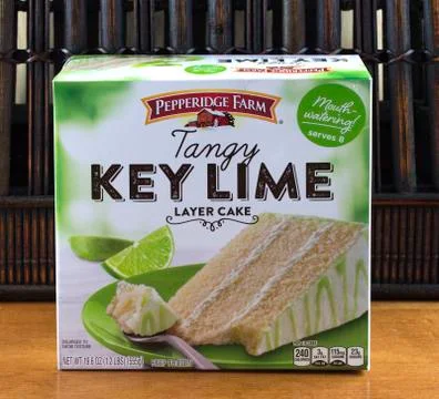 Key Lime cake 库存照片