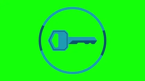 Key, lock animated icon. Stock Footage 322214533