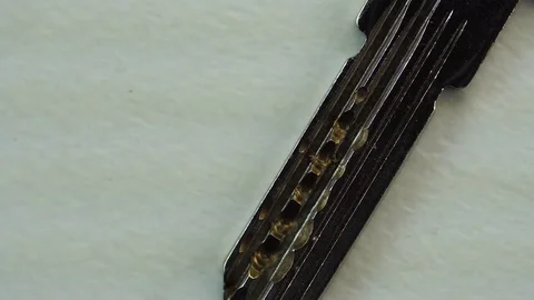 Key Macro Detail Stock Footage 70846046