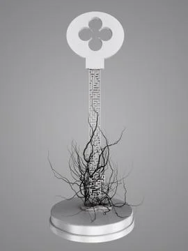 The key is a maze, With roots from the keyhole. Stock Illustration