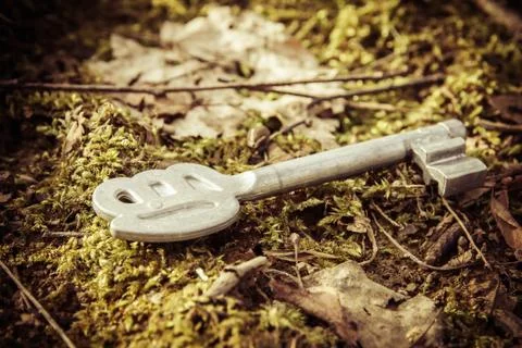 Key on moss Stock Photos